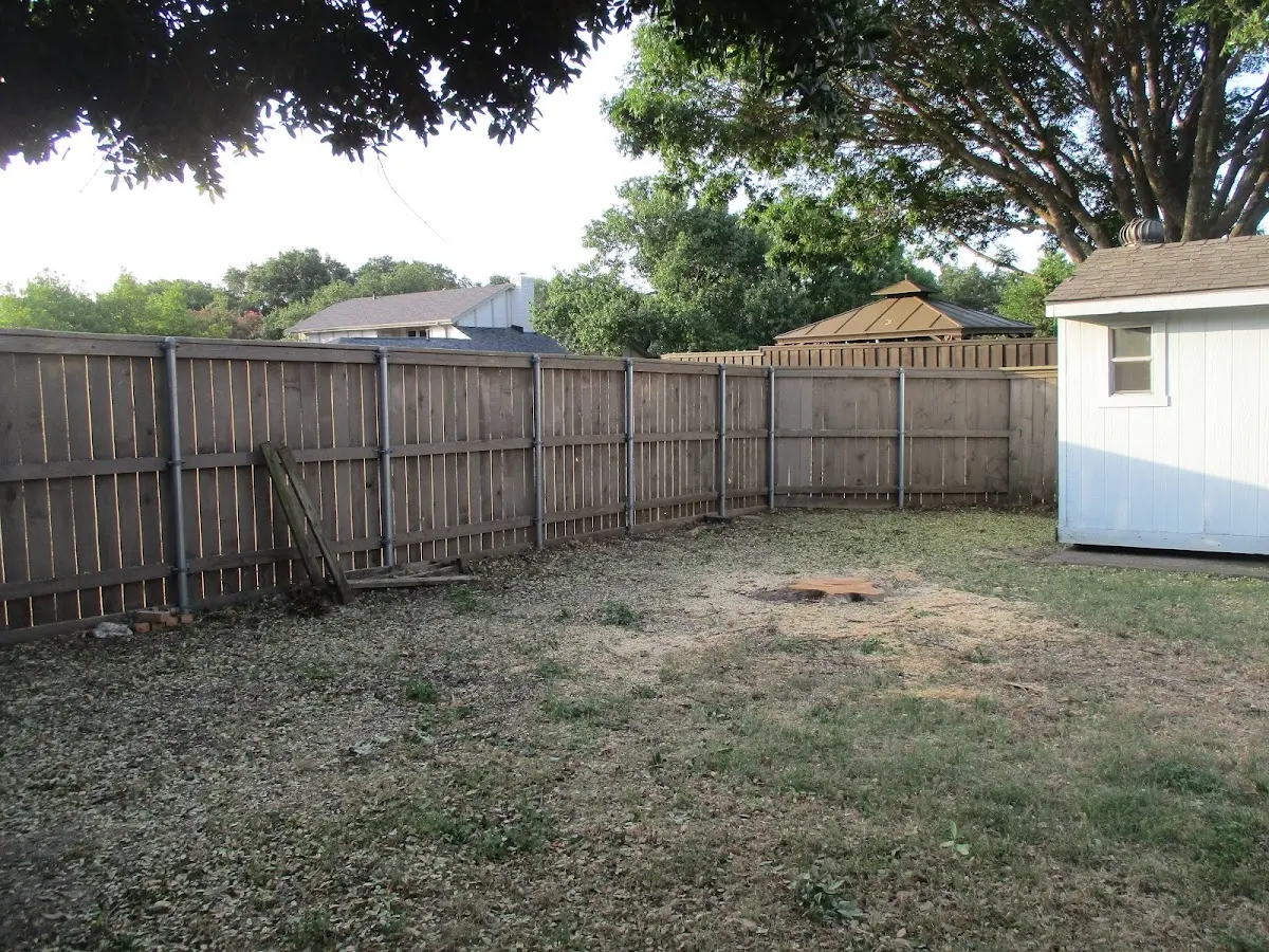 Cleared yard after professional tree removal in Rising City